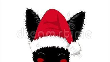 黑猫和圣诞帽<strong>偷吃</strong>。 圣诞贺卡。